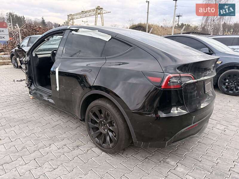 Внедорожник / Кроссовер Tesla Model Y 2023 в Запорожье