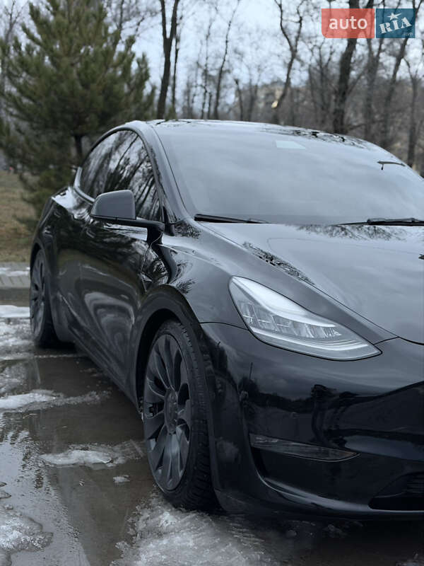 Внедорожник / Кроссовер Tesla Model Y 2020 в Синельниково