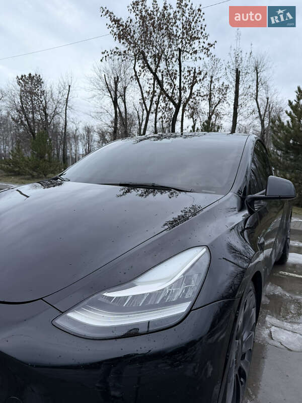 Внедорожник / Кроссовер Tesla Model Y 2020 в Синельниково