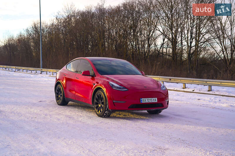 Внедорожник / Кроссовер Tesla Model Y 2022 в Хмельницком