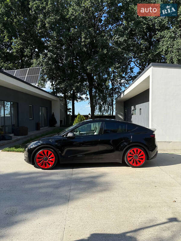 Позашляховик / Кросовер Tesla Model Y 2023 в Києві