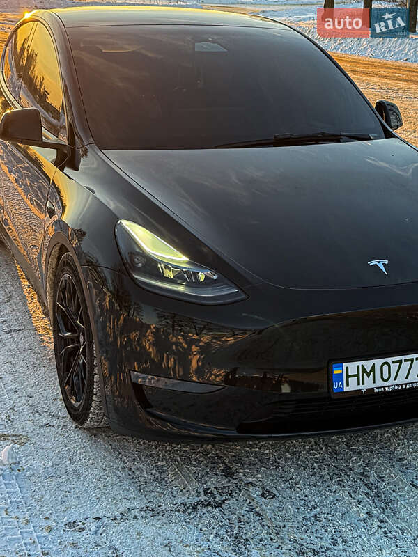 Позашляховик / Кросовер Tesla Model Y 2023 в Києві