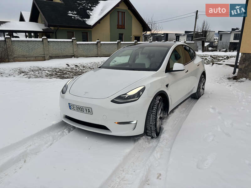 Внедорожник / Кроссовер Tesla Model Y 2021 в Черновцах