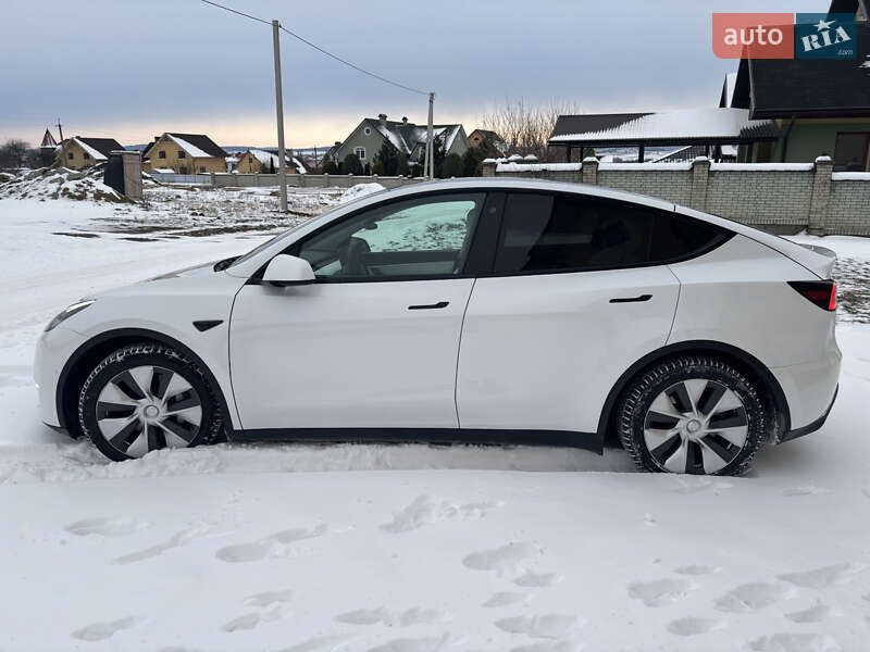 Внедорожник / Кроссовер Tesla Model Y 2021 в Черновцах