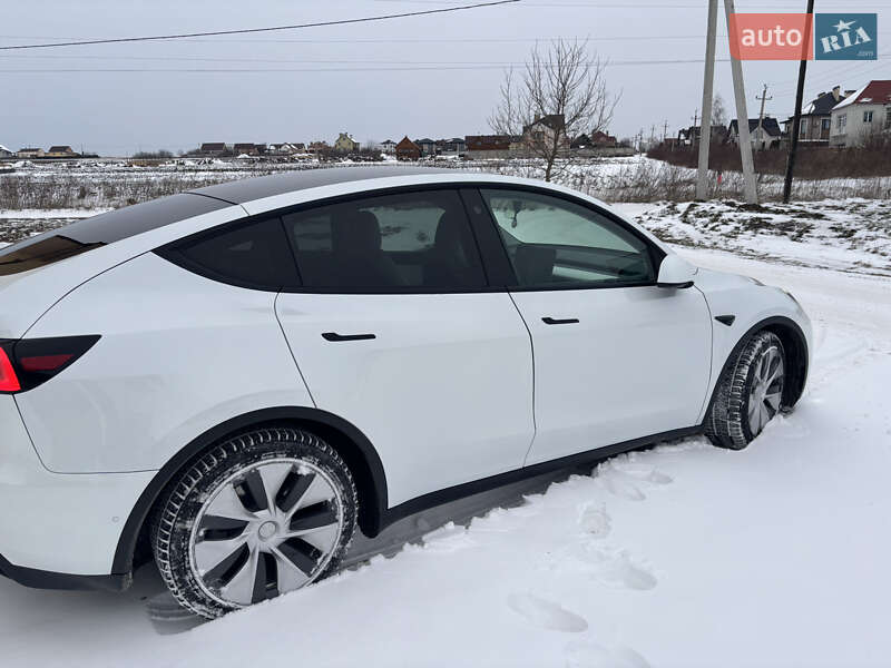 Внедорожник / Кроссовер Tesla Model Y 2021 в Черновцах