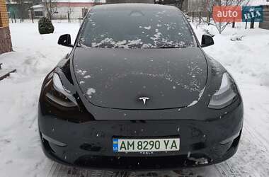 Позашляховик / Кросовер Tesla Model Y 2024 в Києві