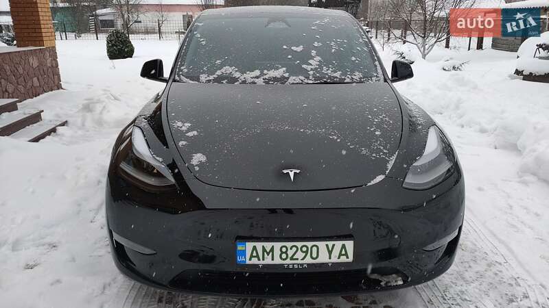 Внедорожник / Кроссовер Tesla Model Y 2024 в Житомире