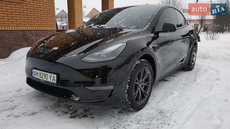 Внедорожник / Кроссовер Tesla Model Y 2024 в Житомире