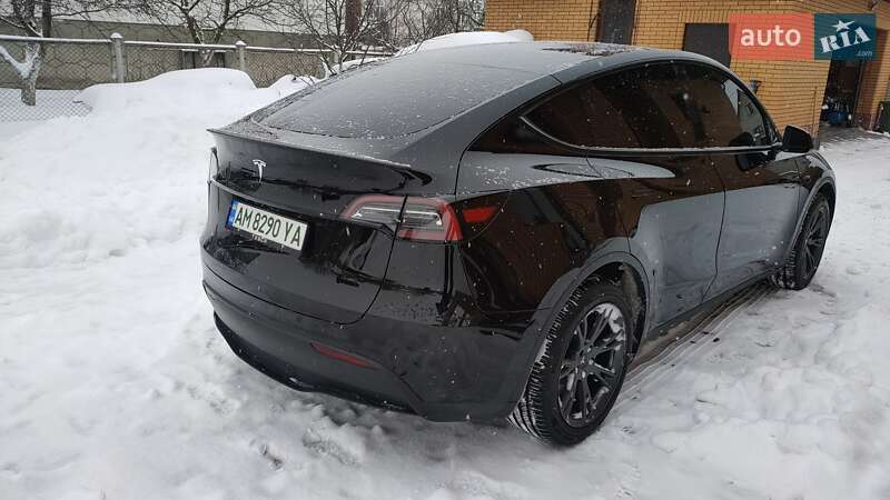 Внедорожник / Кроссовер Tesla Model Y 2024 в Житомире