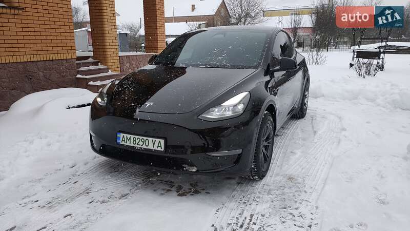 Внедорожник / Кроссовер Tesla Model Y 2024 в Житомире