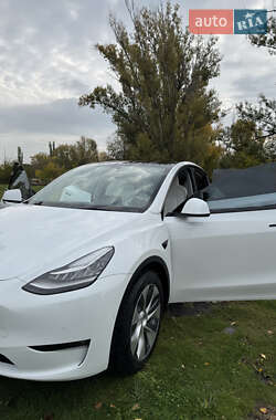 Позашляховик / Кросовер Tesla Model Y 2021 в Кременчуці