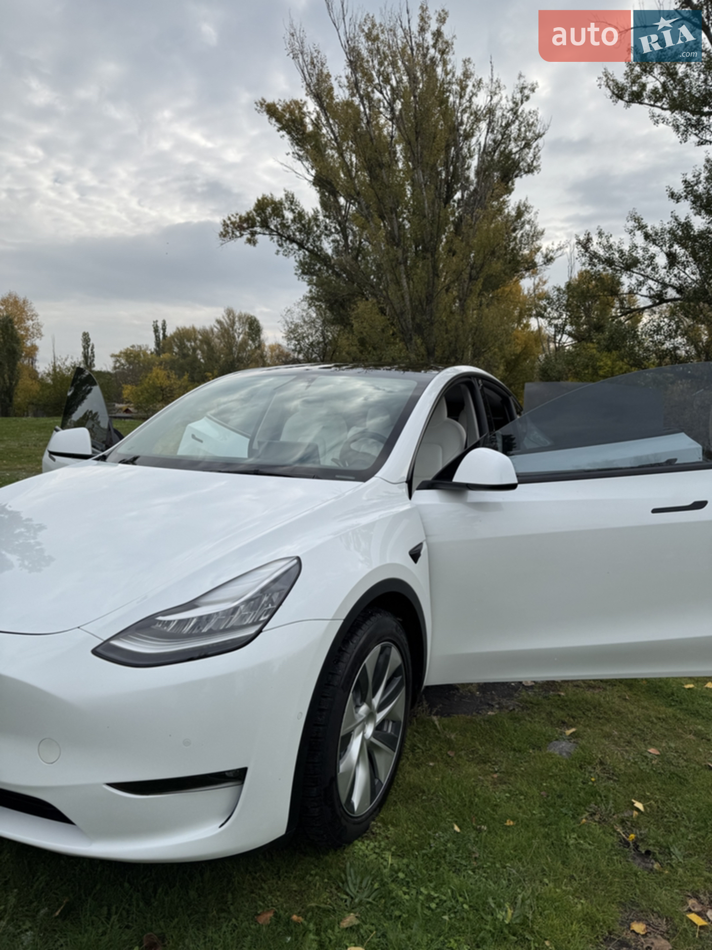 2021 Tesla Model Y - мініатюра 11
