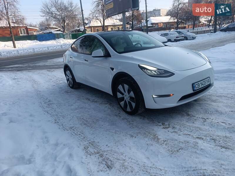 Внедорожник / Кроссовер Tesla Model Y 2021 в Чернигове