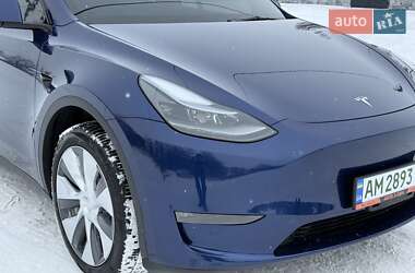 Внедорожник / Кроссовер Tesla Model Y 2023 в Звягеле