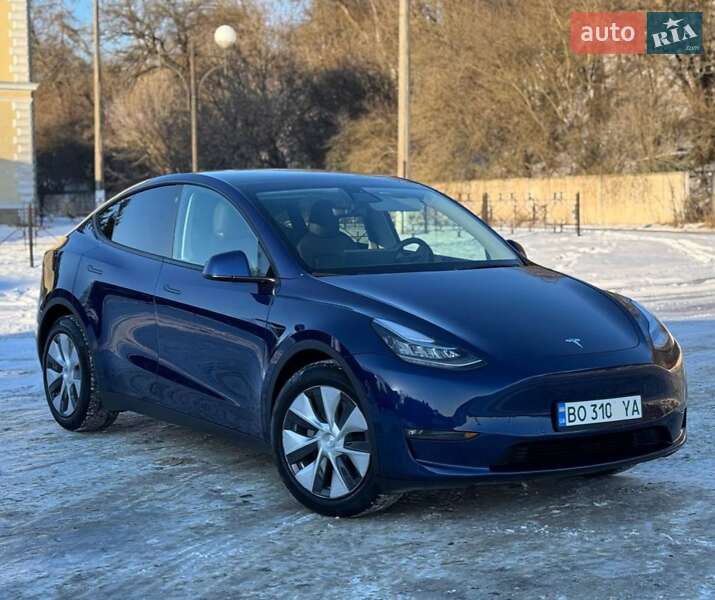 2021 Tesla Model Y, VIN 5YJYGDEE5MF239741:plate — фото 1 (autoria)