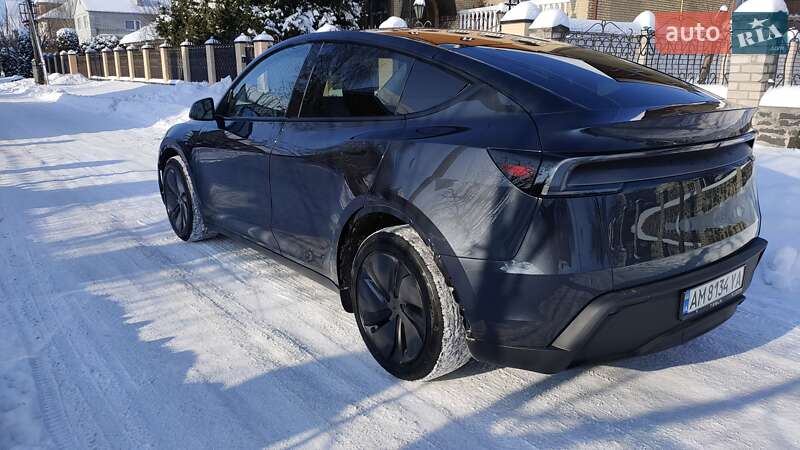 Внедорожник / Кроссовер Tesla Model Y 2025 в Коростышеве