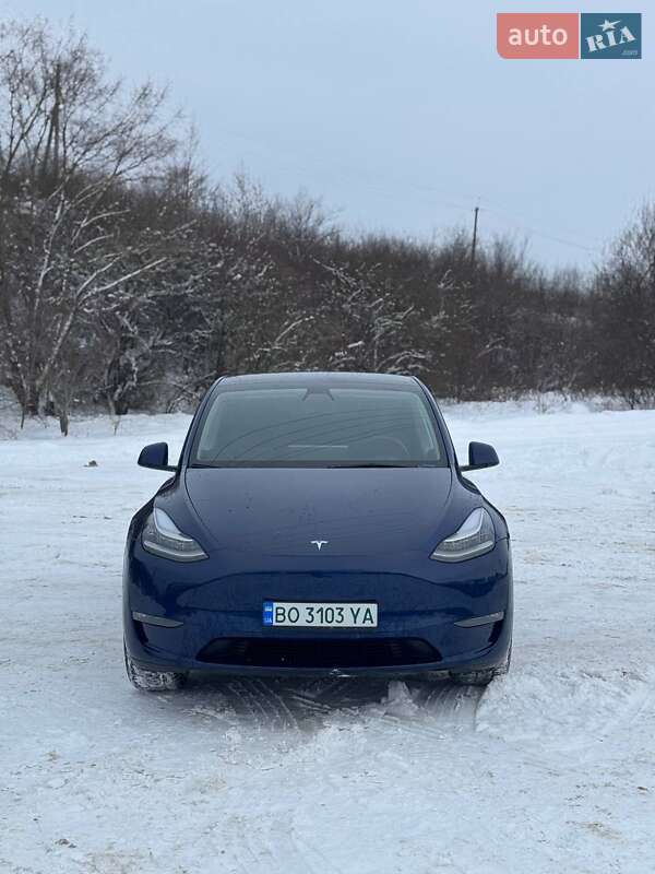 Внедорожник / Кроссовер Tesla Model Y 2021 в Львове