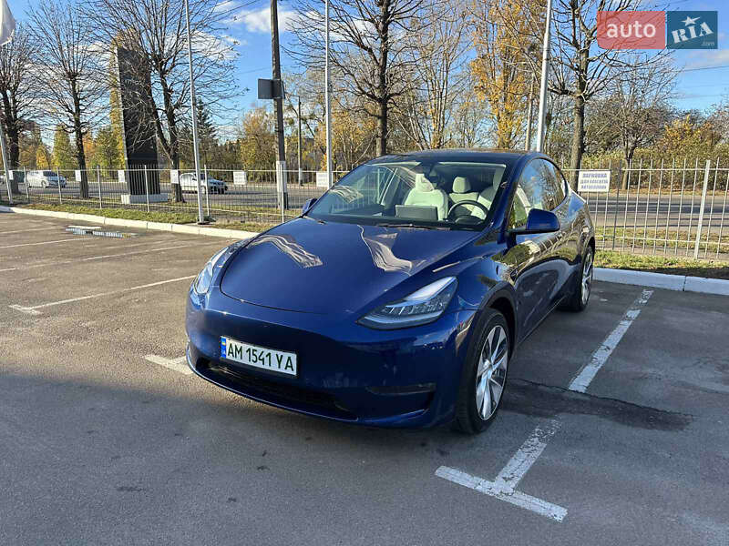Внедорожник / Кроссовер Tesla Model Y 2021 в Житомире