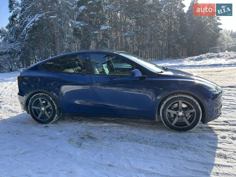 Позашляховик / Кросовер Tesla Model Y 2021 в Обухові
