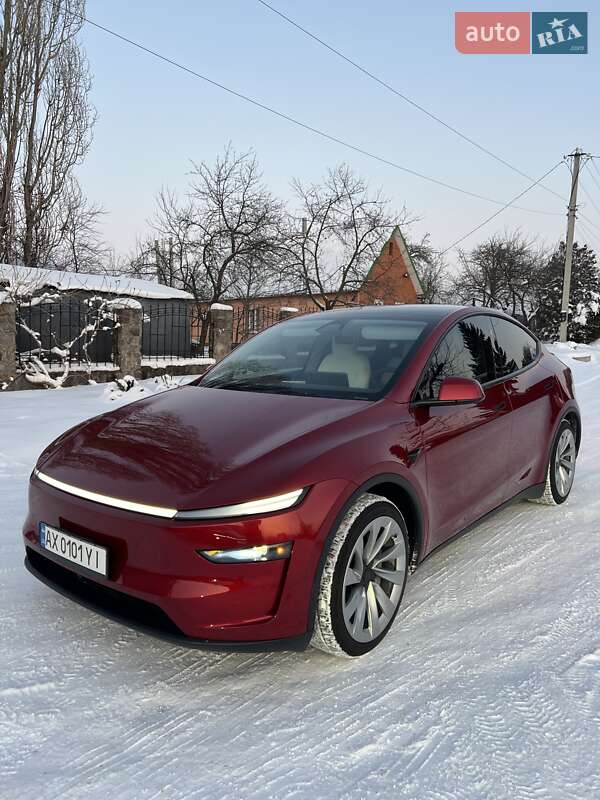 2025 Tesla Model Y, VIN 7SAYGDEE9TA382142:plate — zdjęcie 1 (autoria)