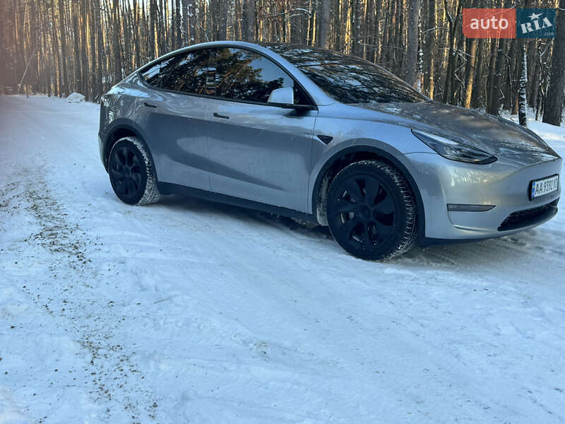 Позашляховик / Кросовер Tesla Model Y 2024 в Києві фото 2 Позашляховик / Кросовер Tesla Model Y 2024 в Києві