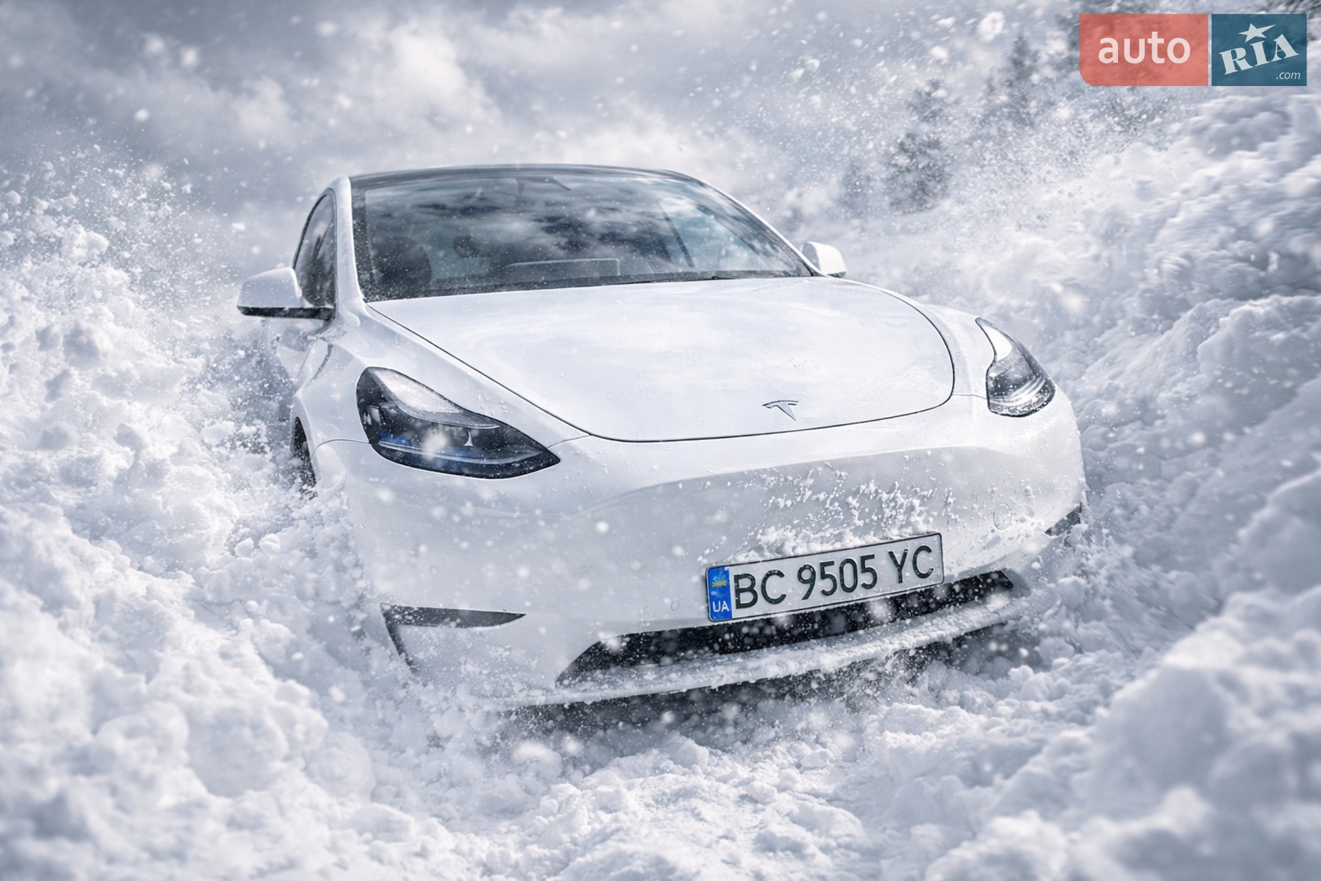 2022 Tesla Model Y - фото 1