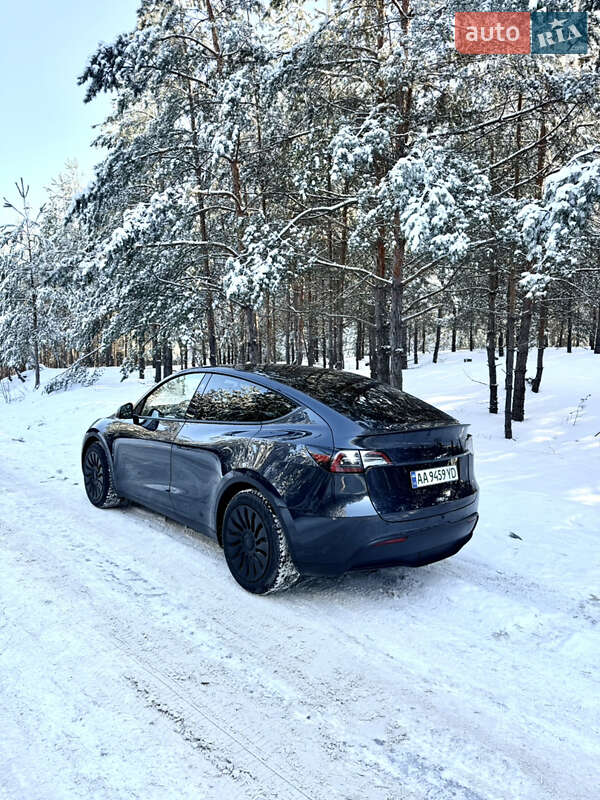 Внедорожник / Кроссовер Tesla Model Y 2024 в Броварах