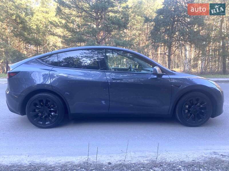 2023 Tesla Model Y, VIN 7SAYGAEE4PF711966:plate — фото 1 (autoria)