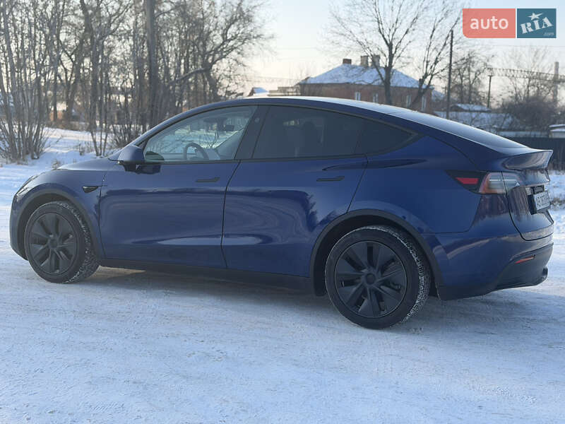 Позашляховик / Кросовер Tesla Model Y 2024 в Вінниці фото 11 Позашляховик / Кросовер Tesla Model Y 2024 в Вінниці