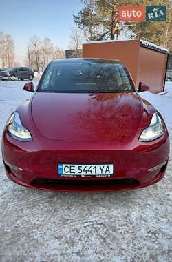 Внедорожник / Кроссовер Tesla Model Y 2024 в Черновцах