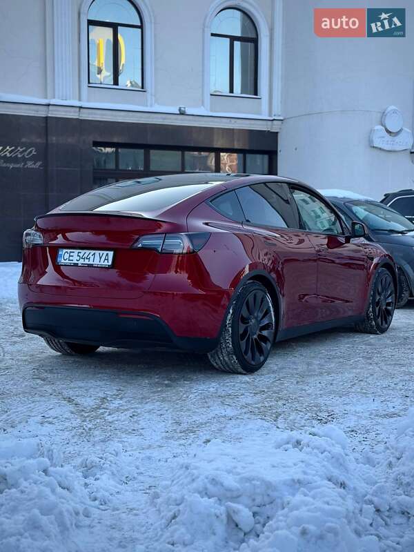 Внедорожник / Кроссовер Tesla Model Y 2024 в Черновцах