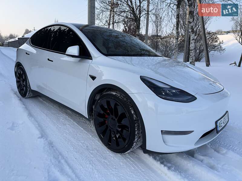 Позашляховик / Кросовер Tesla Model Y 2021 в Дніпрі