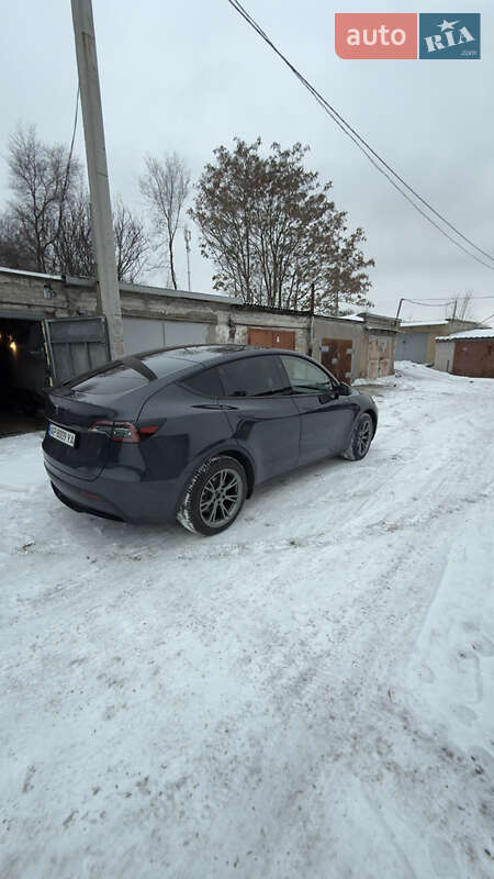 Внедорожник / Кроссовер Tesla Model Y 2024 в Запорожье