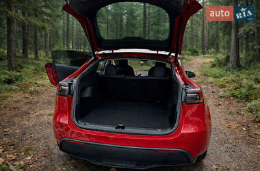 Внедорожник / Кроссовер Tesla Model Y 2020 в Одессе
