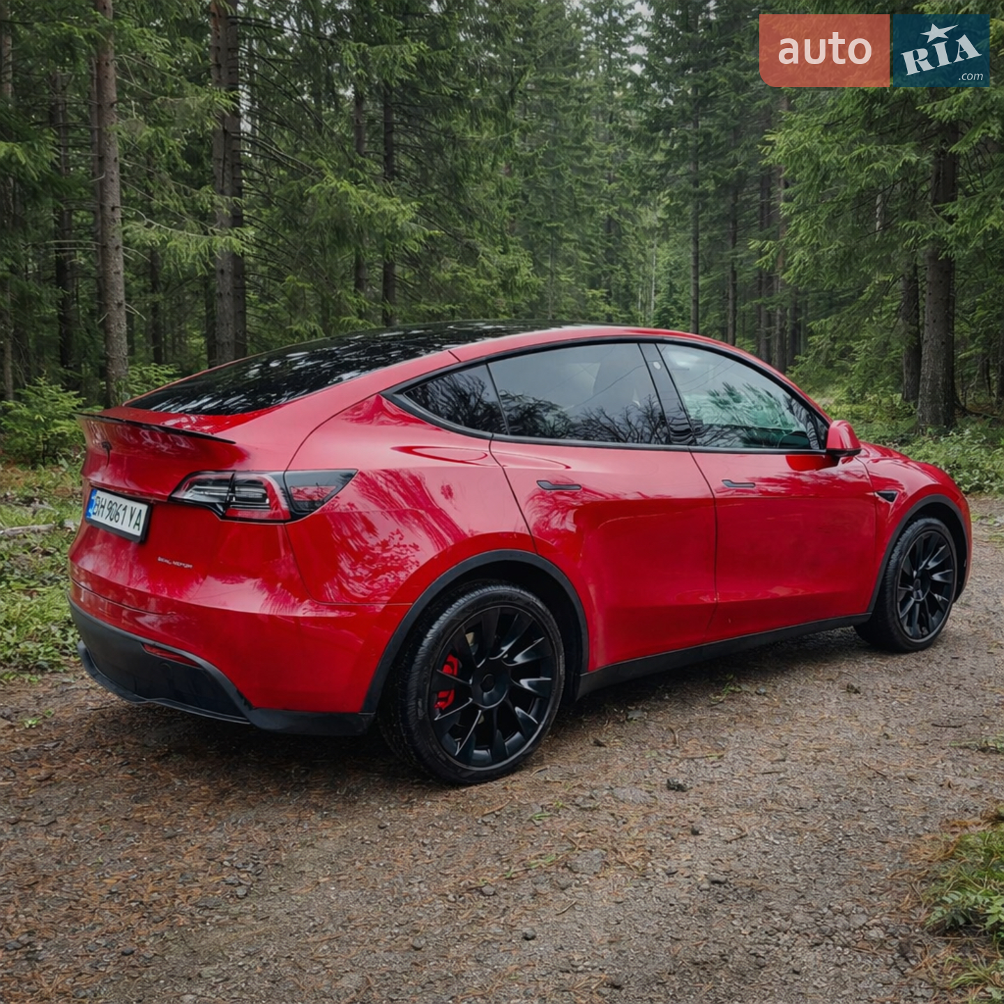 2020 Tesla Model Y - мініатюра 4