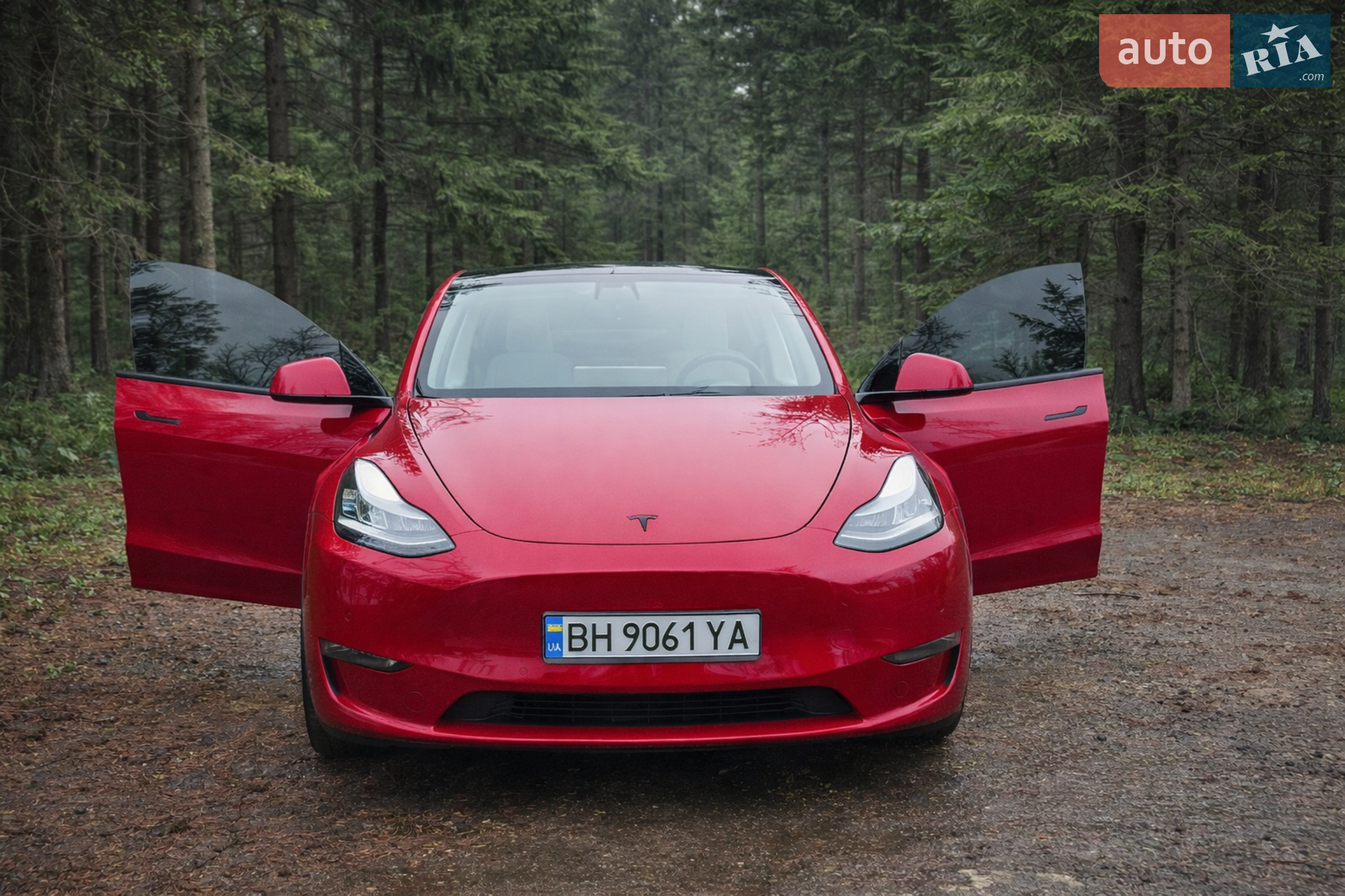2020 Tesla Model Y - мініатюра 5