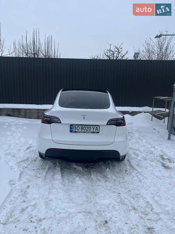 Внедорожник / Кроссовер Tesla Model Y 2021 в Тернополе