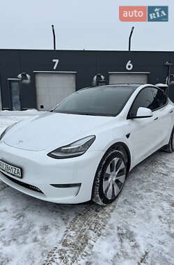 Внедорожник / Кроссовер Tesla Model Y 2023 в Киеве