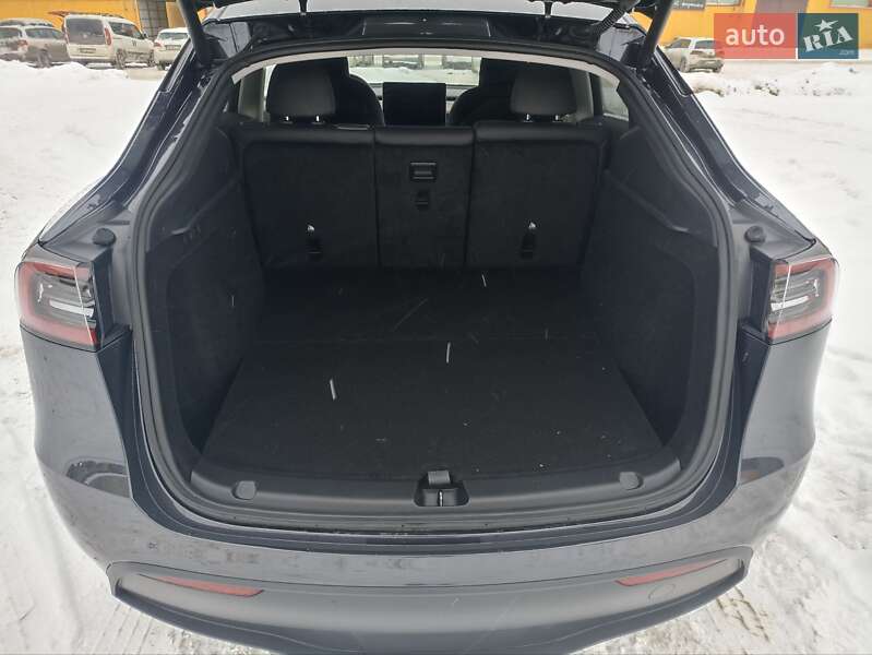 Позашляховик / Кросовер Tesla Model Y 2024 в Житомирі