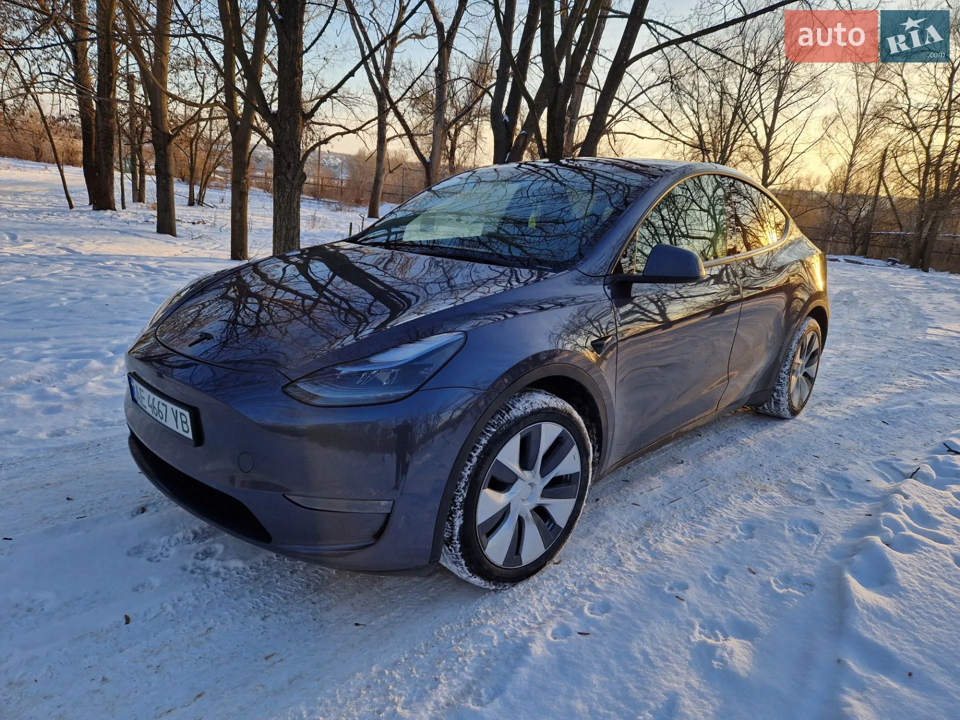2023 Tesla Model Y - фото 1