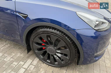 Позашляховик / Кросовер Tesla Model Y 2023 в Запоріжжі