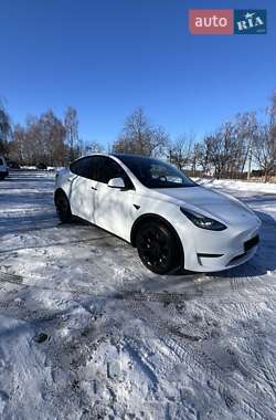 Позашляховик / Кросовер Tesla Model Y 2023 в Рівному