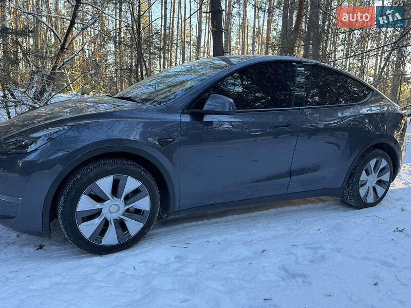 Внедорожник / Кроссовер Tesla Model Y 2023 в Василькове