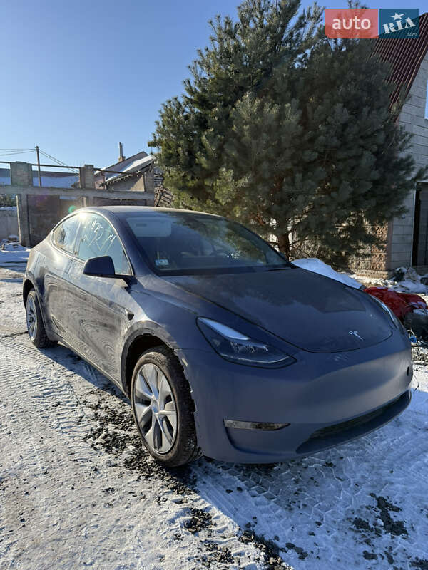 Внедорожник / Кроссовер Tesla Model Y 2023 в Луцке