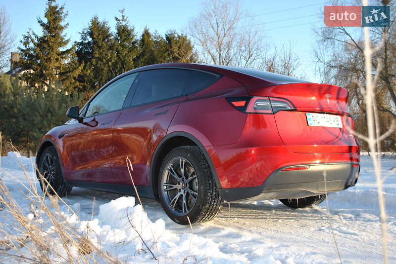 Позашляховик / Кросовер Tesla Model Y 2024 в Луцьку