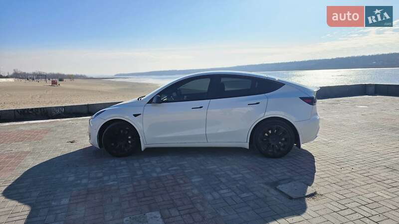 Внедорожник / Кроссовер Tesla Model Y 2020 в Запорожье