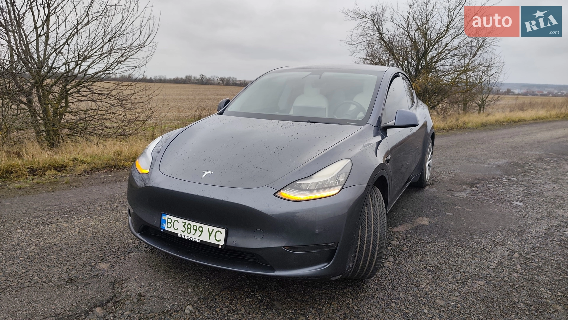 2020 Tesla Model Y - мініатюра 2