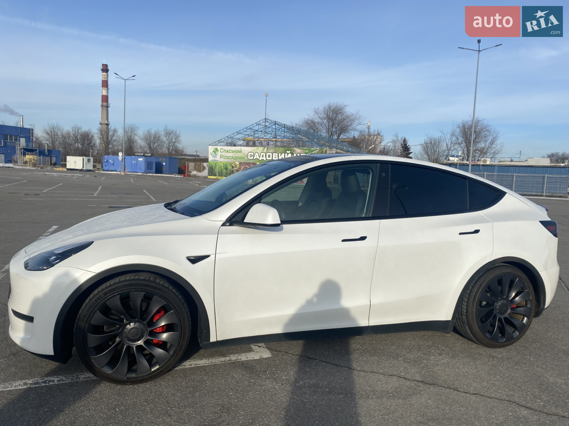 2023 Tesla Model Y - мініатюра 5