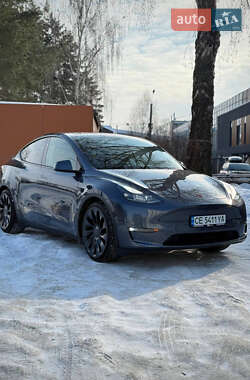 Позашляховик / Кросовер Tesla Model Y 2023 в Чернівцях