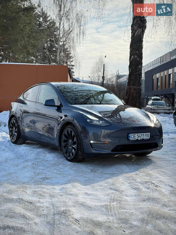2023 Tesla Model Y, VIN 7SAYGDEFXPF897975:plate — фото 1 (autoria)